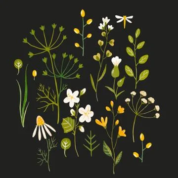 Watercolor floral vector pattern Stock Illustration