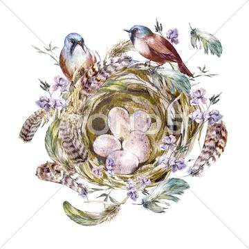 Watercolor floral vintage greeting card with birds nests and feathers Stock Illustration