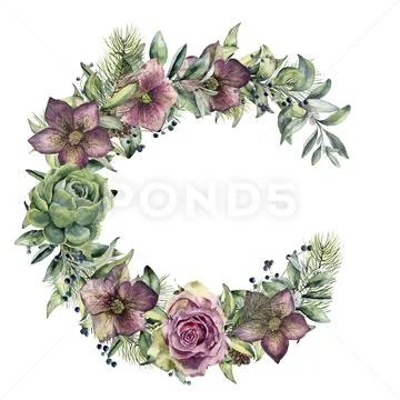 Watercolor floral wreath with hellebore flowers. Hand painted snowberry, fir Stock Illustration