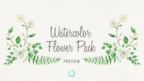 Watercolor Flower Pack Catálogo de After Effects