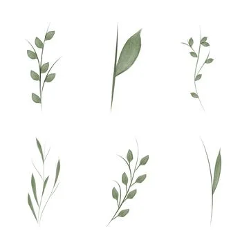 Watercolor flower stems vector set for environmental conservation use Ilustración de archivo