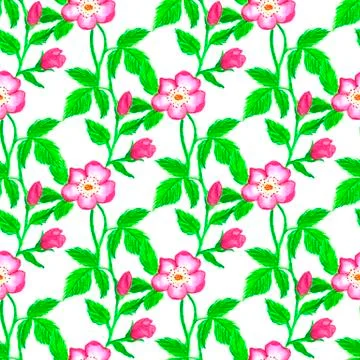 Watercolor flowers and rosehips branches seamless pattern. Hand drawn pattern Stock Illustration