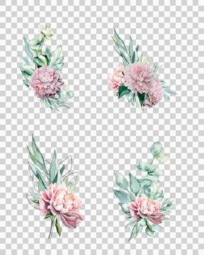 Watercolor flowers leaves elements frames composition eucaliptus peony Stockillustratie