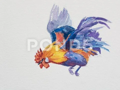 Watercolor of flying bantam on paper Stock Illustration