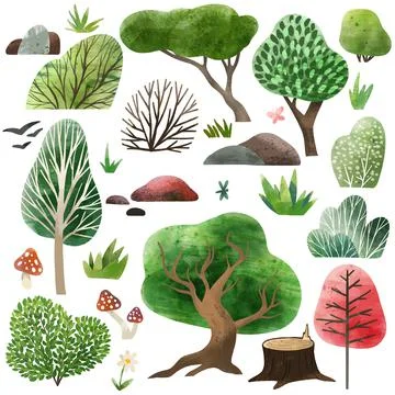 Watercolor forest elements, hand drawn vector illustration. Stock Illustration