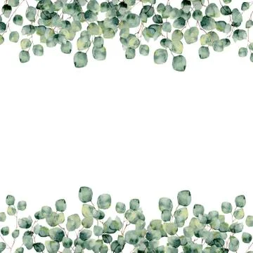 Watercolor frame with eucalyptus silver dollar. Botanical design Stock Illustration