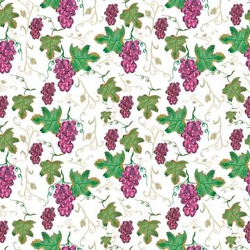 Watercolor fruit seamless pattern, hand drawn grapes repeat paper, eco food Stock Illustration