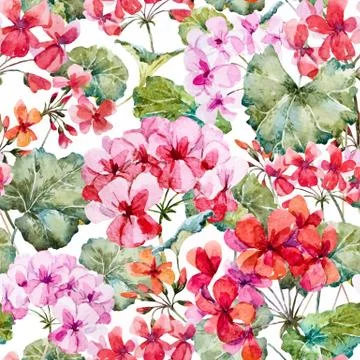 Watercolor geranium pattern Stock Illustration