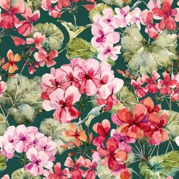 Watercolor geranium pattern Stock Illustration