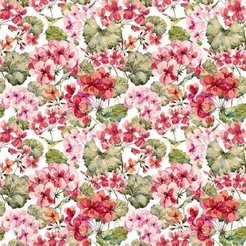 Watercolor geranium pattern Stock Illustration
