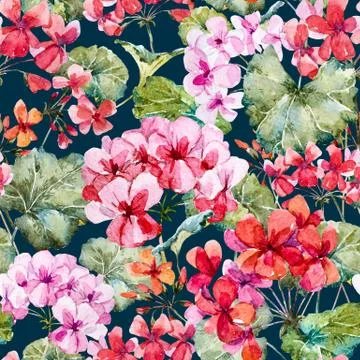Watercolor geranium pattern Stock Illustration