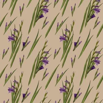Watercolor gladiolus seamless pattern Hand drawn digital illustration of violet Stock Illustration