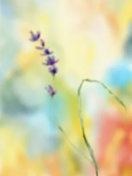 Watercolor gradient flower composition. Hand painted summer lavender isolated on Stock Illustration