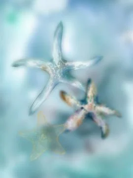 Watercolor gradient starfish composition. Hand painted abstract underwater Stock Illustration
