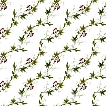 Watercolor grape pattern Illustrazione stock