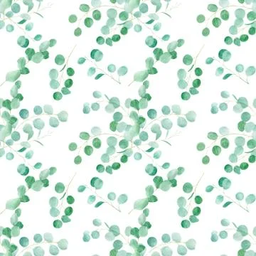 Watercolor green floral seamless pattern with eucalyptus. Hand painted Stock Illustration