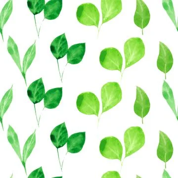 Watercolor greenery. Seamless pattern with Green leaves and branch on white Stock Illustration