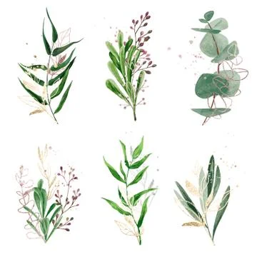 Watercolor greenery set decorated with foiled plants and spots Stock Illustration