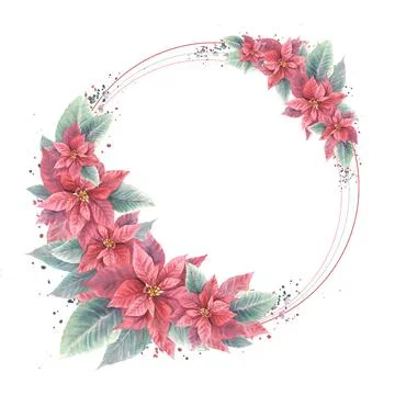Watercolor hand draw frame. Red Poinsettia flowers, leaves with stains Stock Illustration