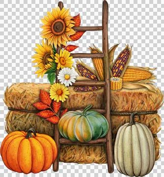 Watercolor hand drawn fall rustic composition Illustrazione stock