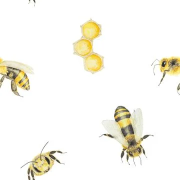 Watercolor hand drawn pattern of bees and honey isolated on white background Stock Illustration
