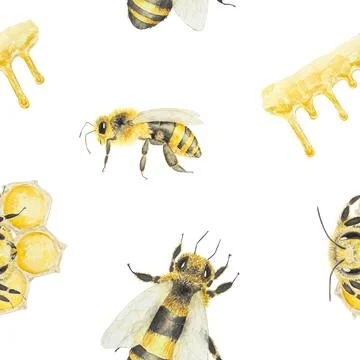 Watercolor hand drawn pattern of bees and honey isolated on white background Stock Illustration