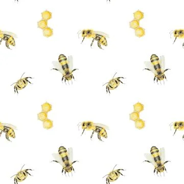 Watercolor hand drawn pattern of bees and honey isolated on white background Ilustración de archivo