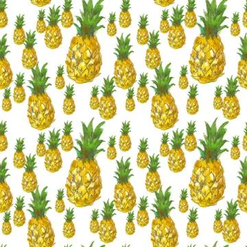 Watercolor hand drawn seamless pattern of pineapple fruit on a white background Stock Illustration