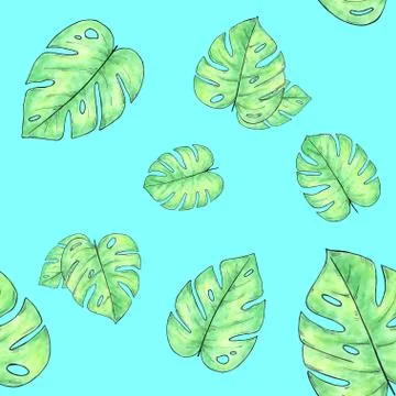 Watercolor hand drawn seamless pattern with monstera leaves Stock Illustration