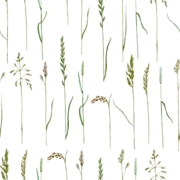 Watercolor hand drawn seamless pattern with meadow cereals. Stock Illustration