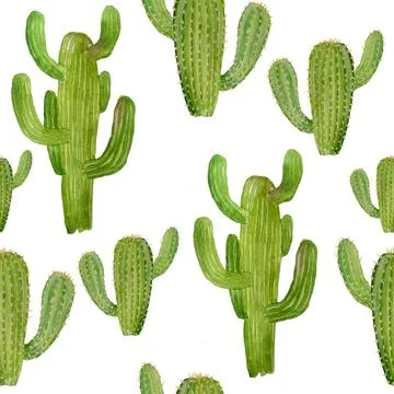 Watercolor hand drawn seamless pattern of tropical mexican cactus cacti Stock Illustration