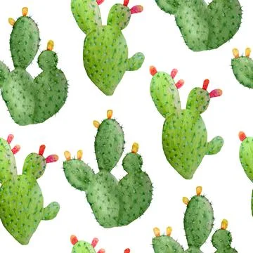 Watercolor hand drawn seamless pattern of tropical mexican cactus cacti Stock Illustration