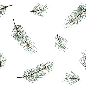 Watercolor hand drawn seamless pattern with pine conifer spruce branches twigs Illustrazione stock