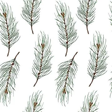 Watercolor hand drawn seamless pattern with pine conifer spruce branches twigs Illustrazione stock