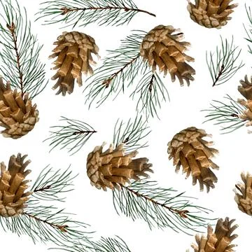 Watercolor hand drawn seamless pattern with pine conifer spruce branches twigs Illustrazione stock