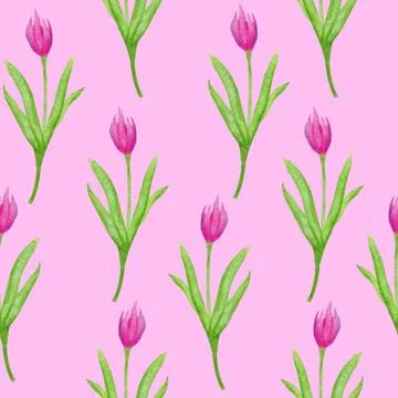 Watercolor hand drawn seamless pattern with pink tulip flowers green leaves on Stock Illustration