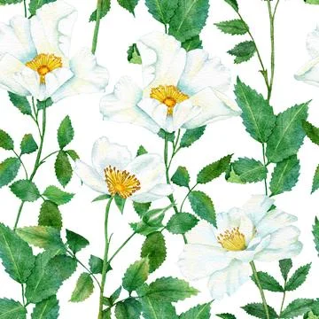 Watercolor hand drawn seamless pattern with floral wild rose flowers leaves Stock Illustration