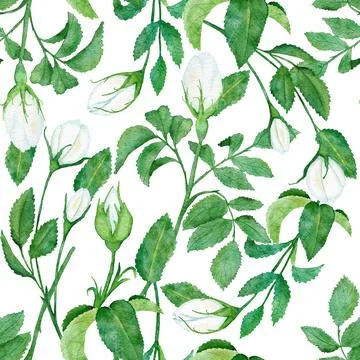 Watercolor hand drawn seamless pattern with floral wild rose flowers leaves Stock Illustration
