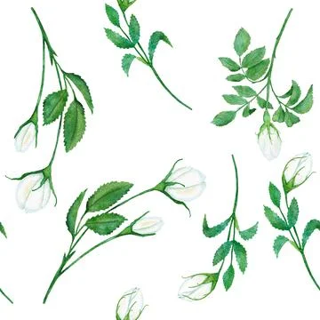 Watercolor hand drawn seamless pattern with floral wild rose flowers leaves Stock Illustration