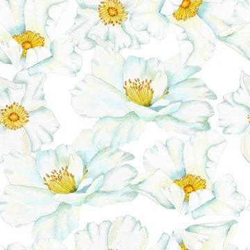 Watercolor hand drawn seamless pattern with floral wild rose flowers leaves Stock Illustration