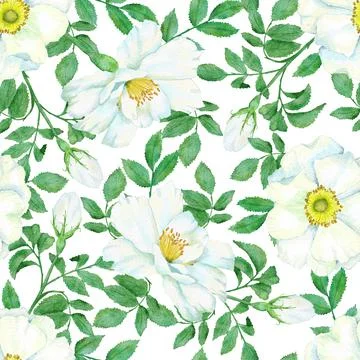Watercolor hand drawn seamless pattern with floral wild rose flowers leaves 스톡 일러스트