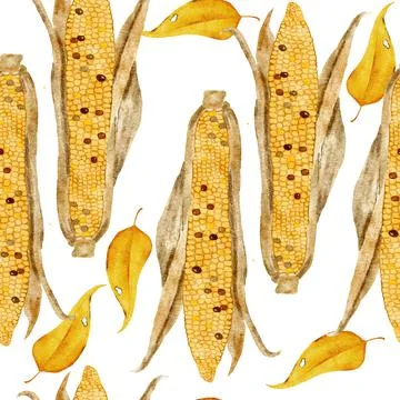 Watercolor hand drawn seamless pattern with corn ears and yellow fall autumn Stock Illustration