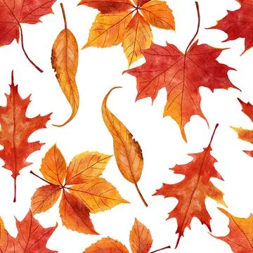 Watercolor hand drawn seamless pattern with red orange yellow fall autumn leaves Stock Illustration