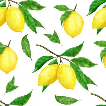 Watercolor hand drawn seamless pattern with lemon citrus fruit. Summer bright Stock Illustration