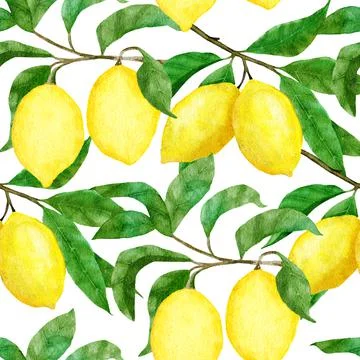 Watercolor hand drawn seamless pattern with lemon citrus fruit. Summer bright Stock Illustration