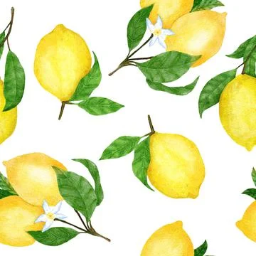 Watercolor hand drawn seamless pattern with lemon citrus fruit. Summer bright Stock Illustration