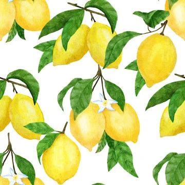 Watercolor hand drawn seamless pattern with lemon citrus fruit. Summer bright Stock Illustration