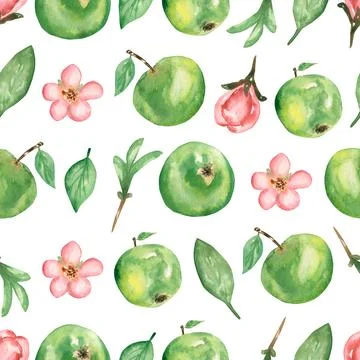 Watercolor hand drawn seamless pattern with branch of  apple flowers, leave.. Stock Illustration