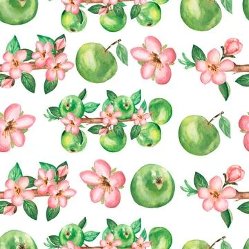 Watercolor hand drawn seamless pattern with branch of  apple flowers, leave.. Stock Illustration
