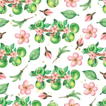 Watercolor hand drawn seamless pattern with branch of  apple flowers, leave.. Stock Illustration